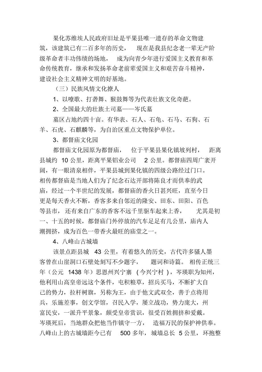 平果县旅游发展基本情况_第5页