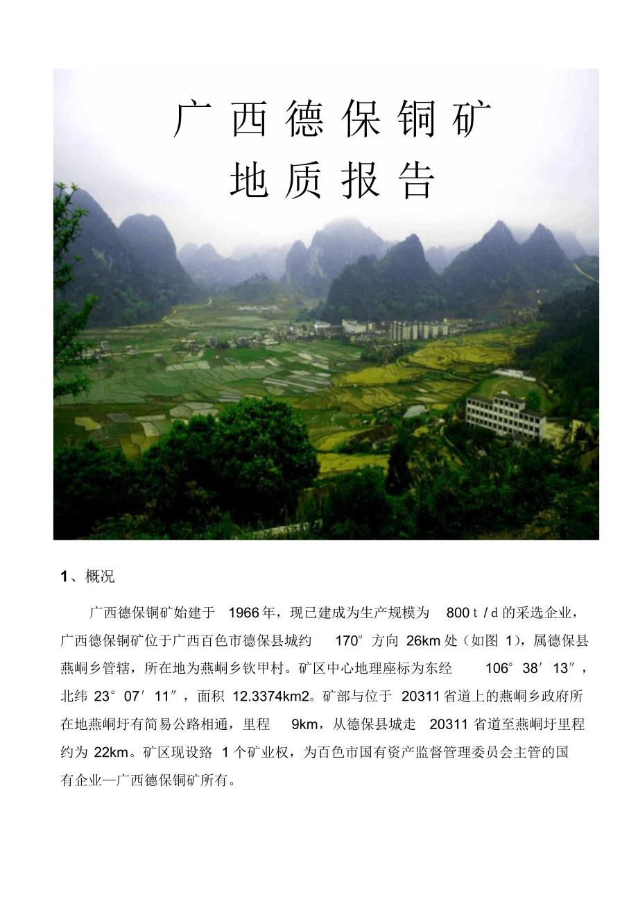德保铜矿地质报告_第1页