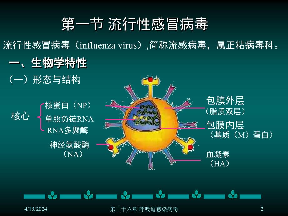 第二十六章呼吸道病毒_第2页