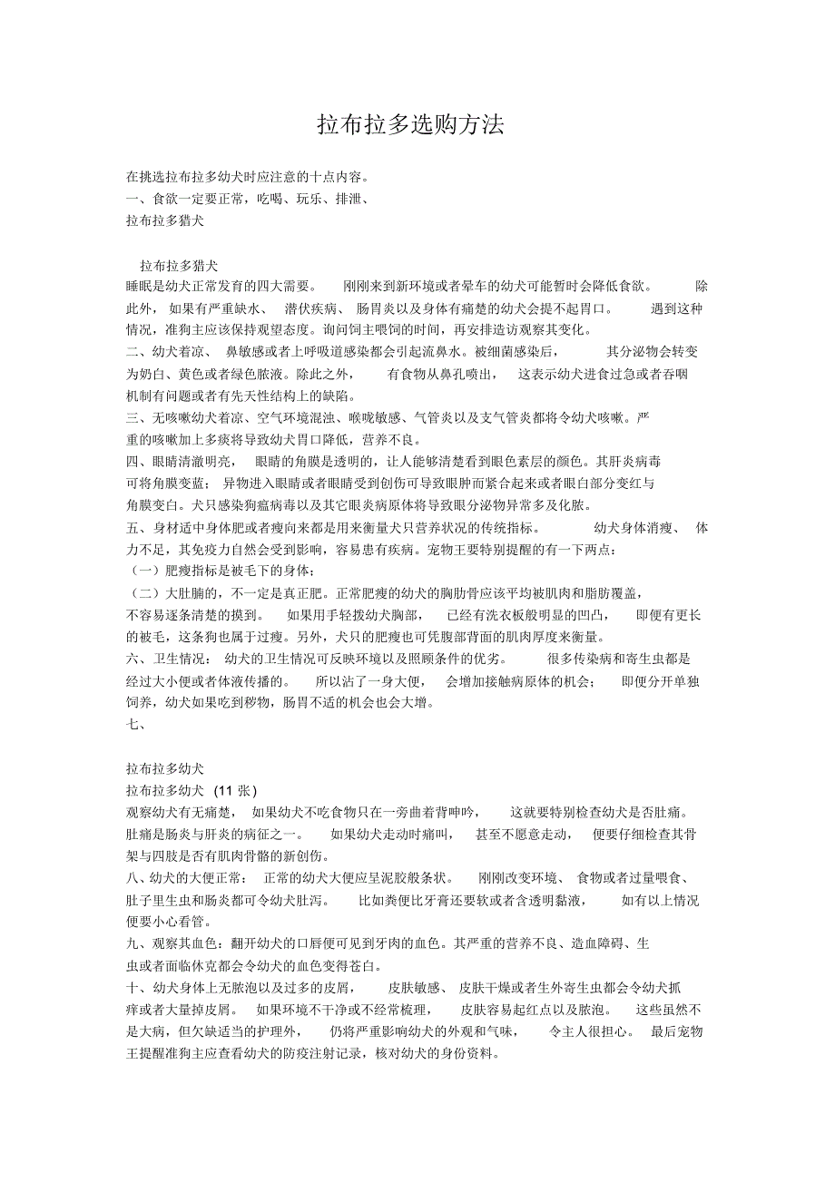 拉布拉多选购方法_第1页