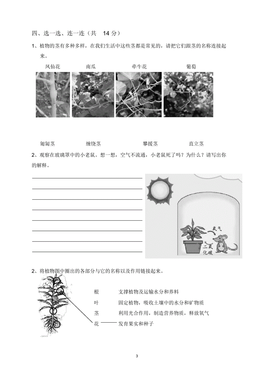 科学三下第一单元_第3页