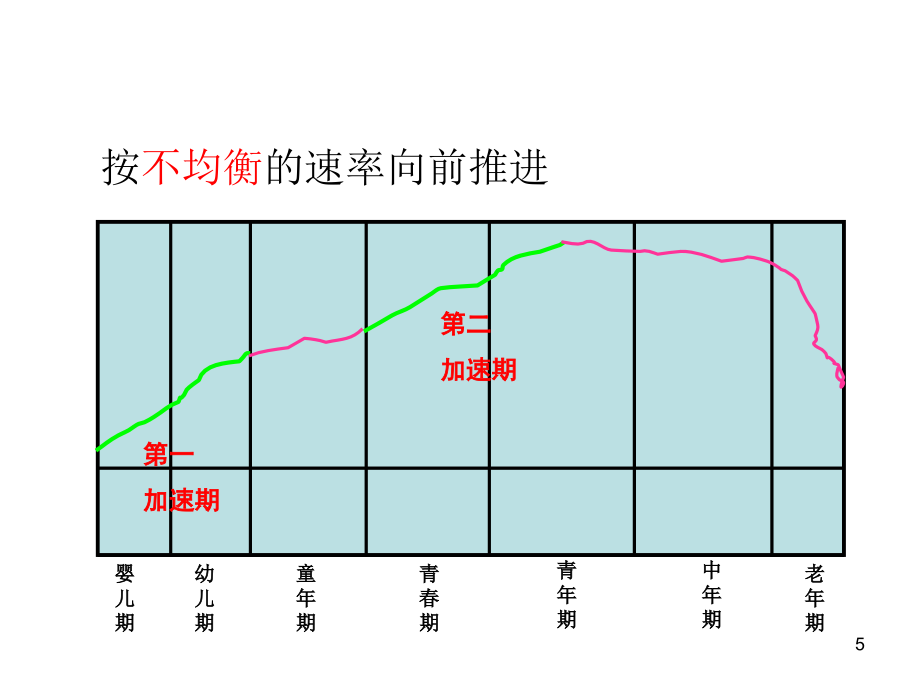 2010心理咨询师考试培训之发展心理学(课件)_第5页