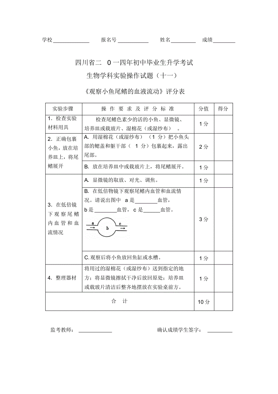 观察小鱼尾鳍的血液流动_第2页