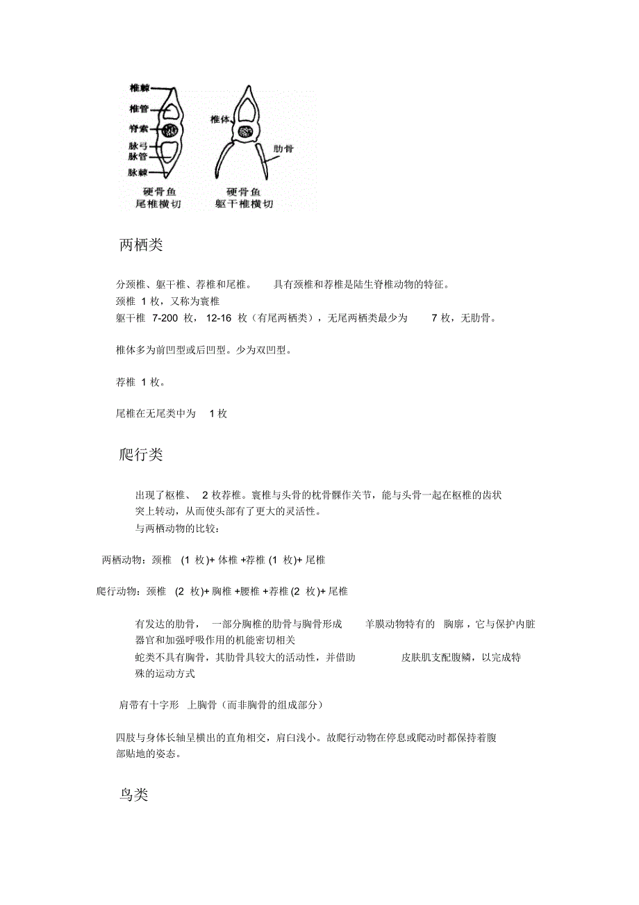 脊椎动物各系统演化_第2页