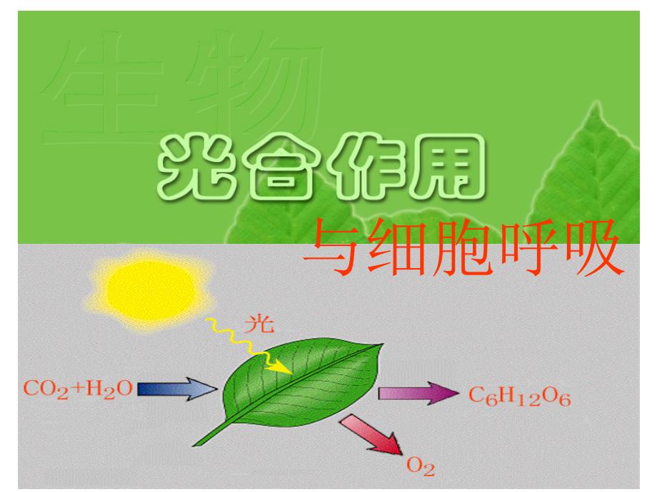 光合作用与细胞呼吸_第1页