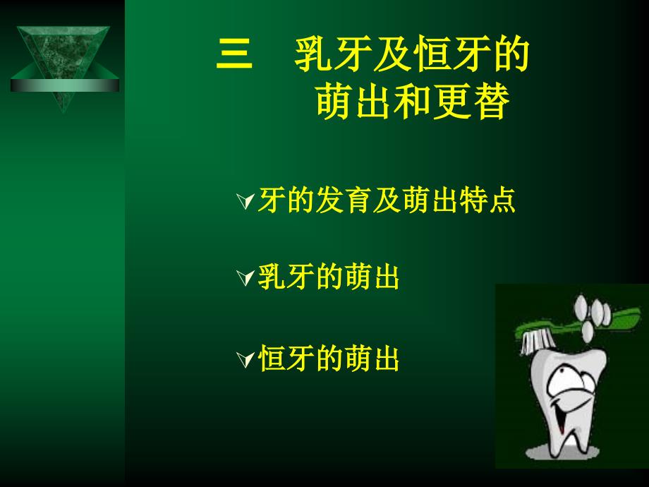 牙的发育及萌出特点_第1页