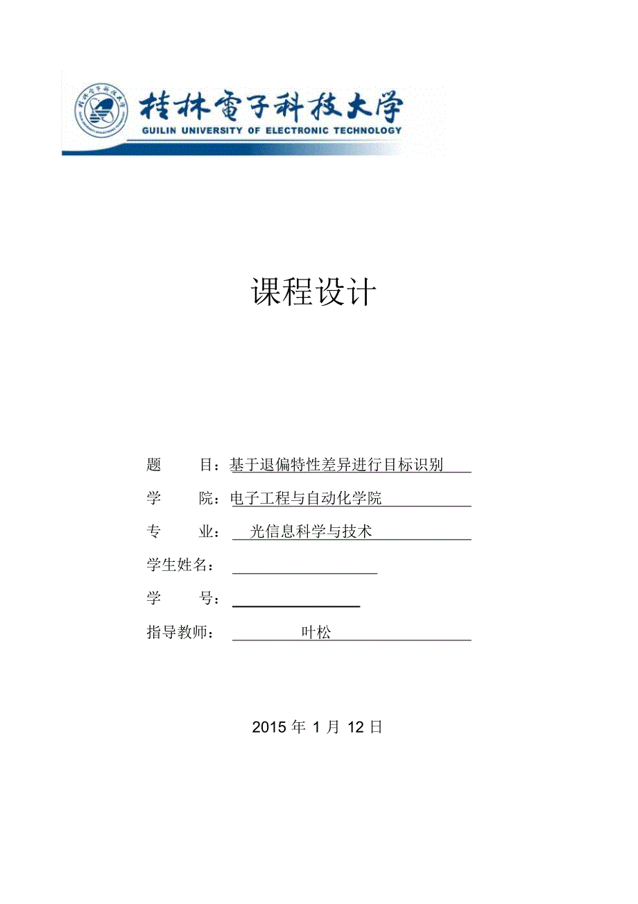 基于退偏特性目标识别_第1页