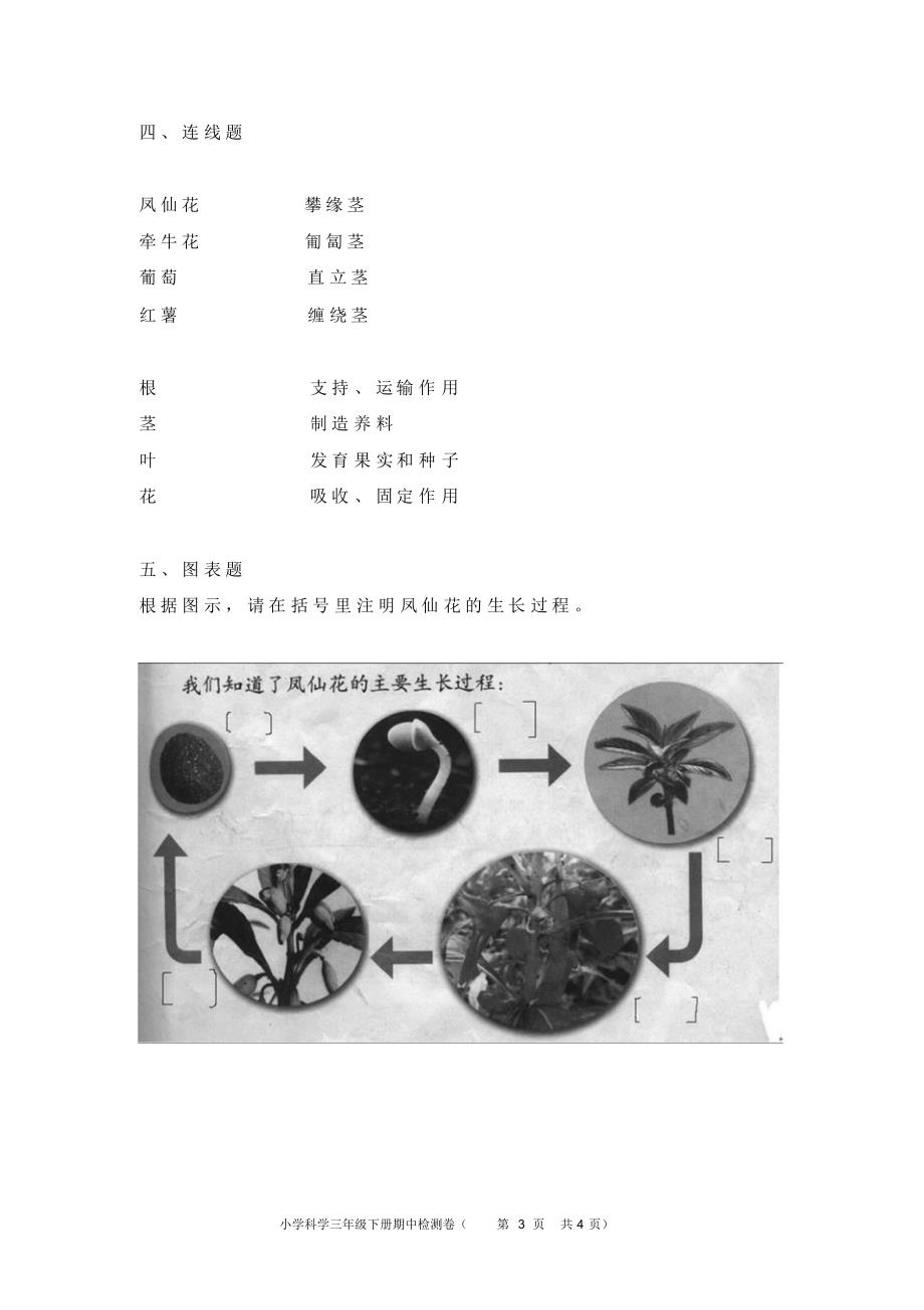 小学科学三年级下册第一单元检测_第3页