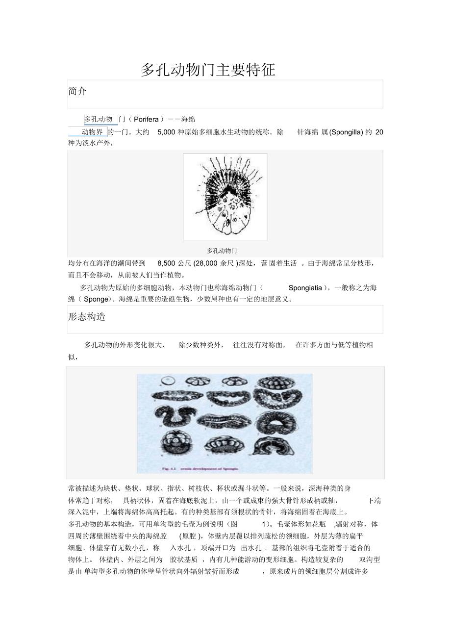 多孔动物门主要特征_第1页