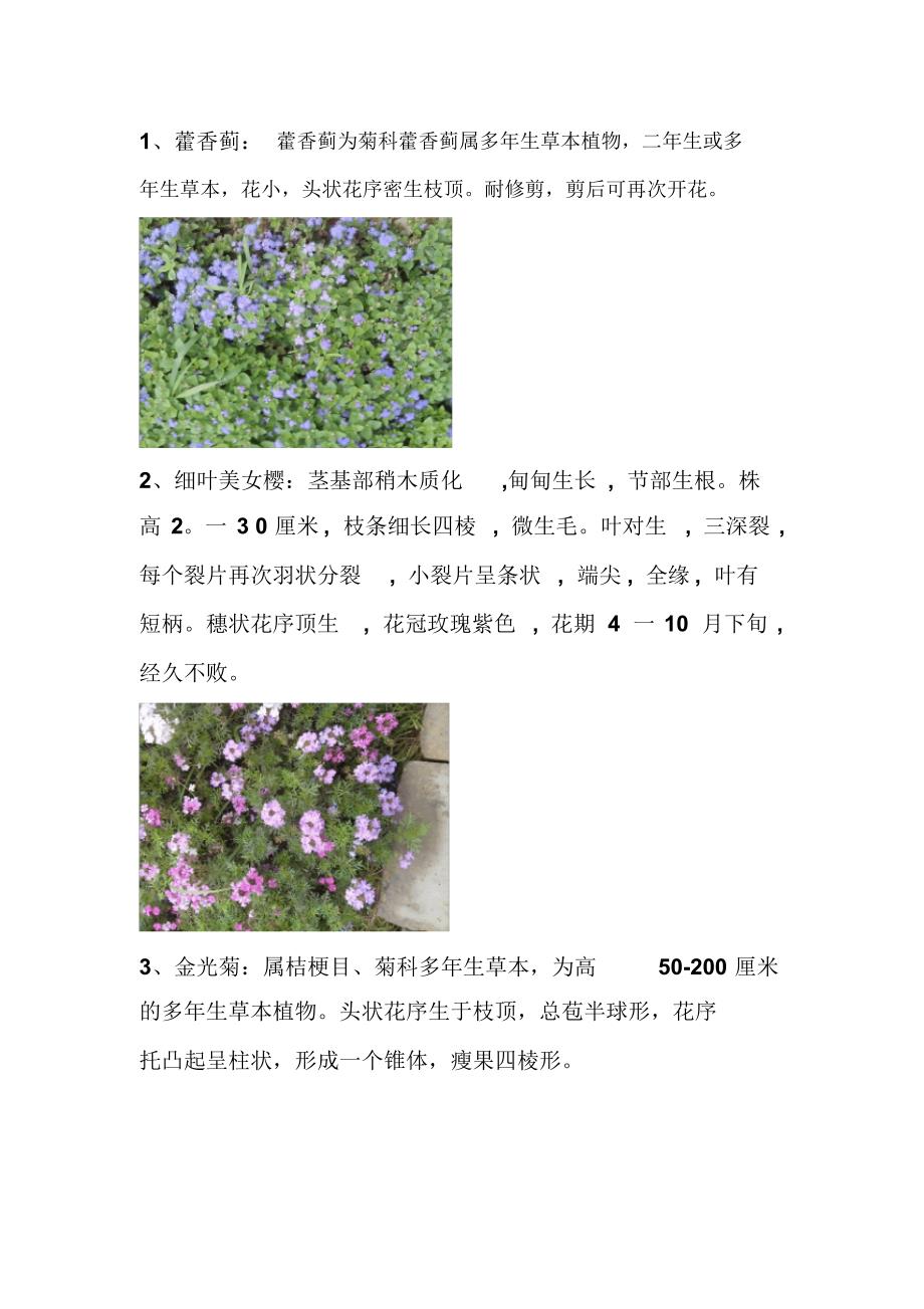 常见花卉40种(图片+形态特征)及蝴蝶兰栽培_第2页