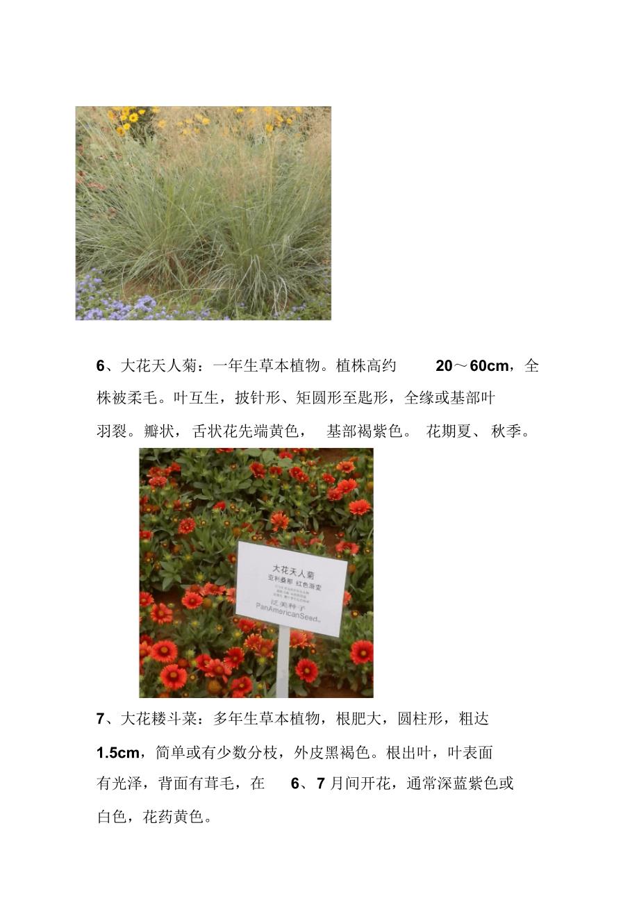 常见花卉40种(图片+形态特征)及蝴蝶兰栽培_第4页