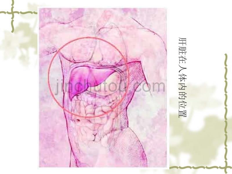 8肝胆胰疾病的营养治疗_第3页