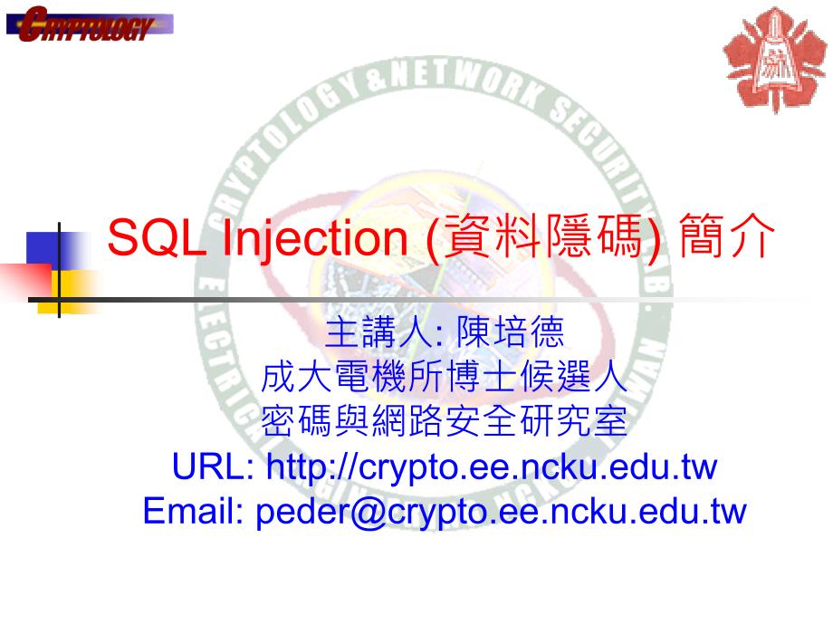 SQLInjection（资料隐码）简介_第1页
