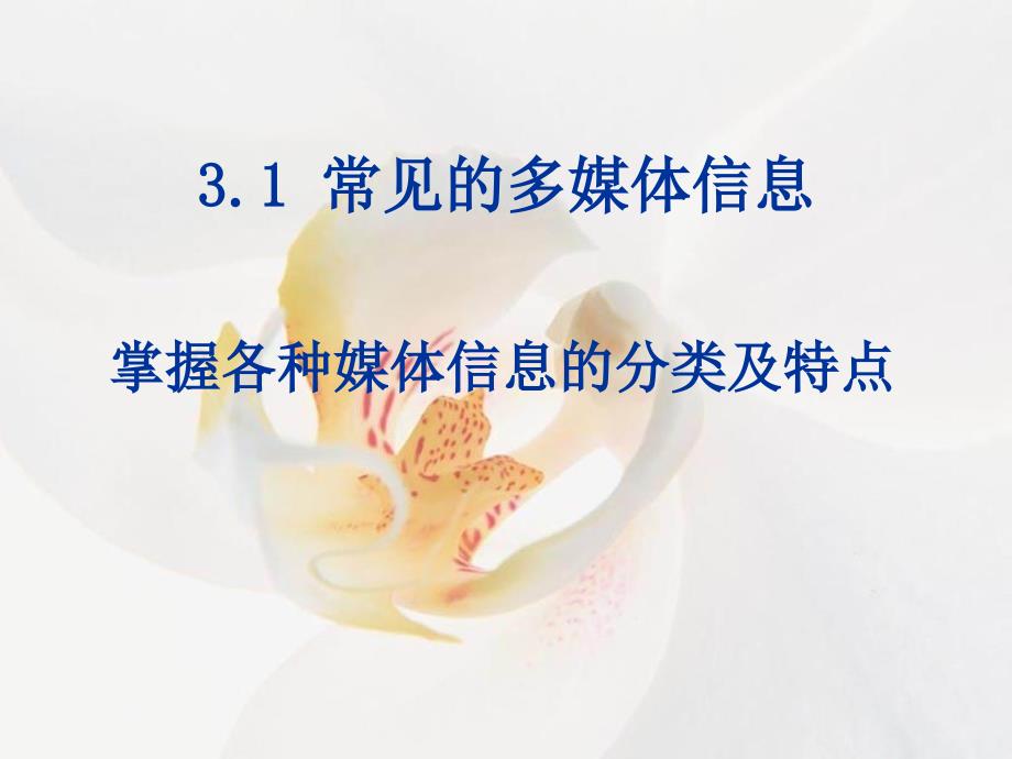 3.1 常见的多媒体信息_第1页