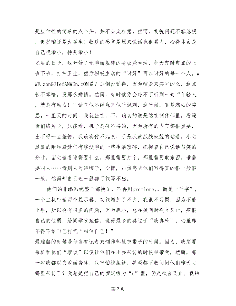 电视台实习记者总结报告_第2页