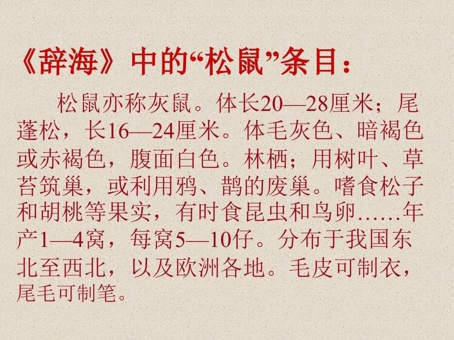 《松鼠》教学课件_第5页