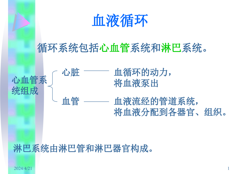 基础医学概论-血液循环_第1页