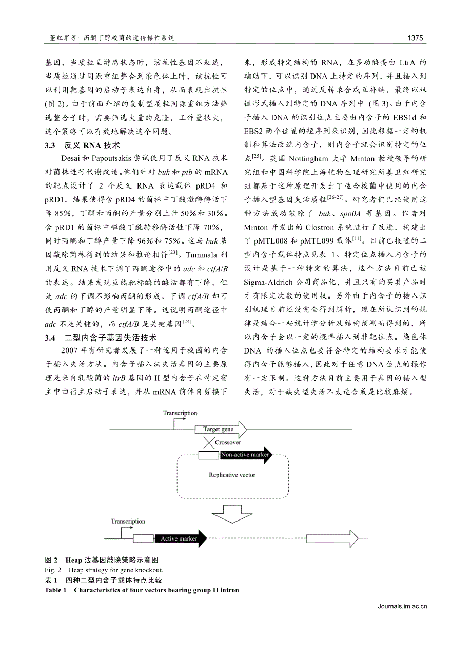 丙酮丁醇梭菌的遗传操作系统_第4页