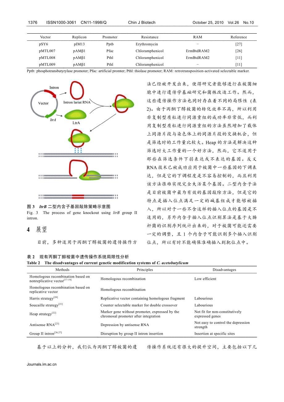 丙酮丁醇梭菌的遗传操作系统_第5页
