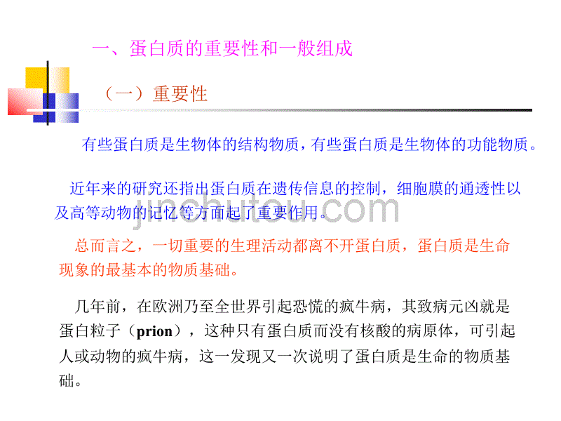 蛋白质与氨基酸.ppt_第2页