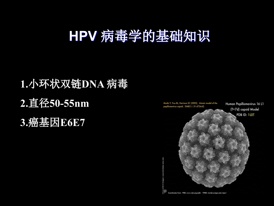 宫颈HPV感染PPT课件_第3页