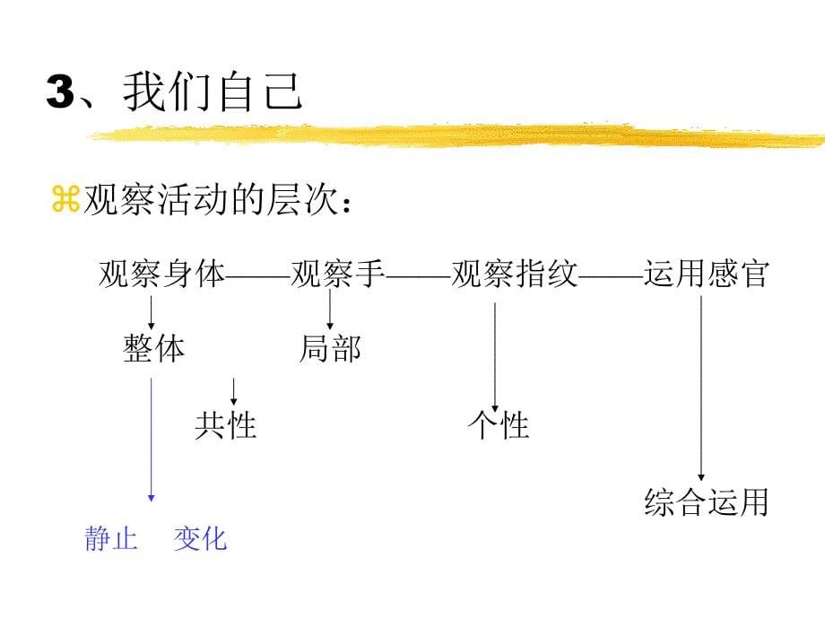 三年级上册科学课件_第5页