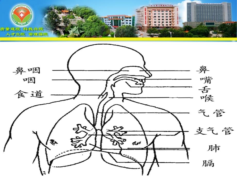 急性气道梗阻PPT课件_第2页