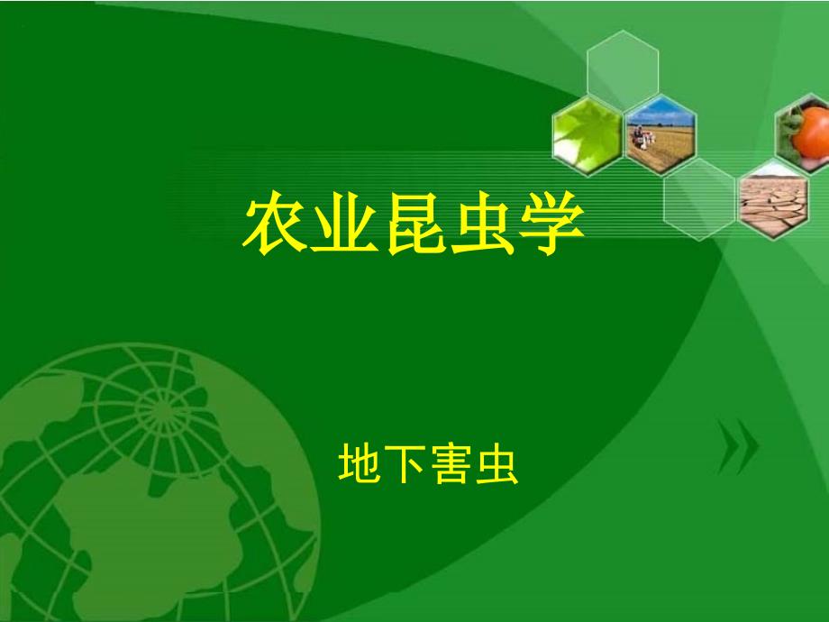 农业昆虫学--地下害虫_第1页