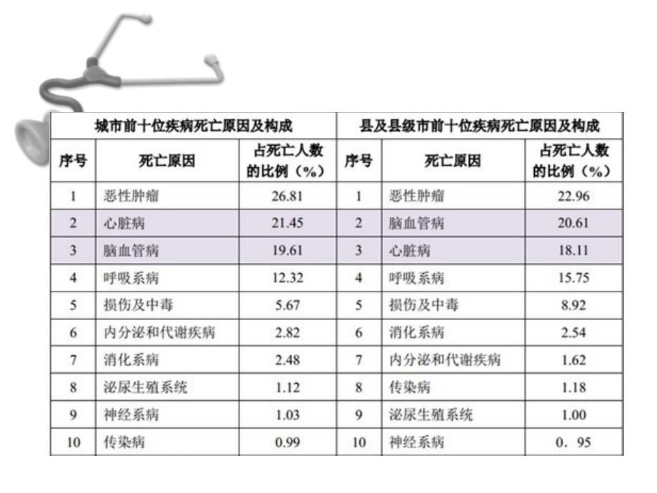 呼吸系统总论--临床医学概论_第3页