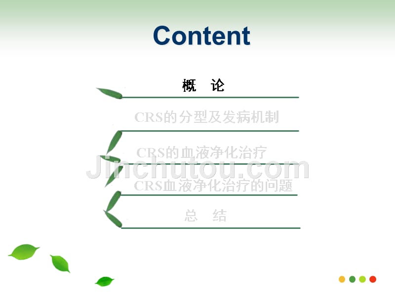 CRRT与心肾综合征ppt课件_第3页