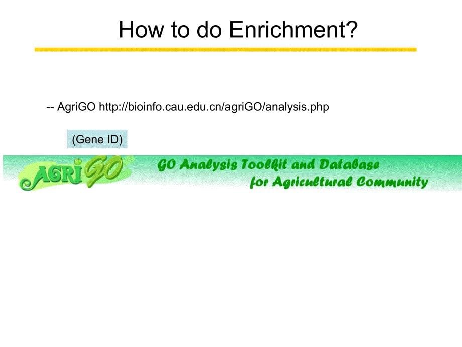 GO enrichment and Pathway analysis of genes_第5页