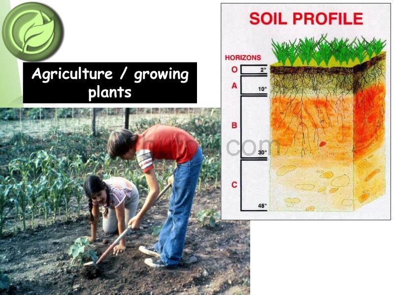 What is soil - Sustainable Organic Horticulture - University of_第3页