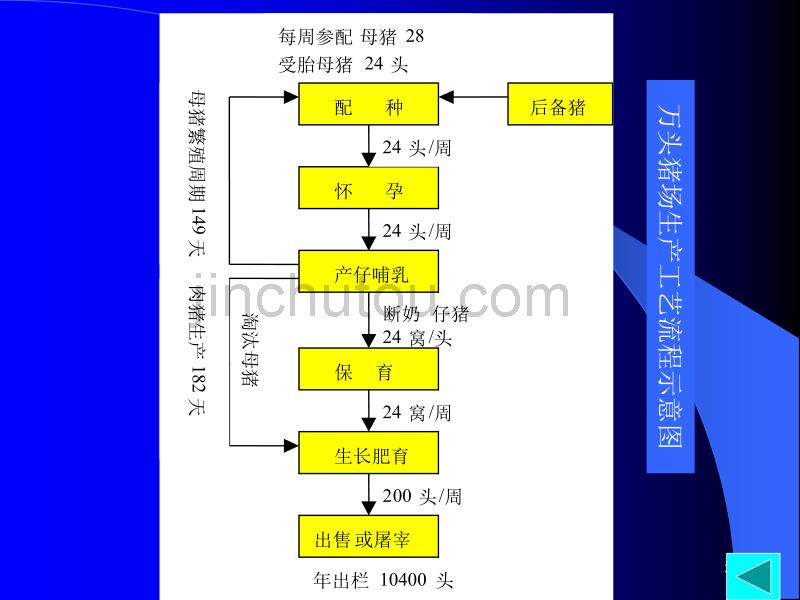 第一章_现代养猪生产学_第5页