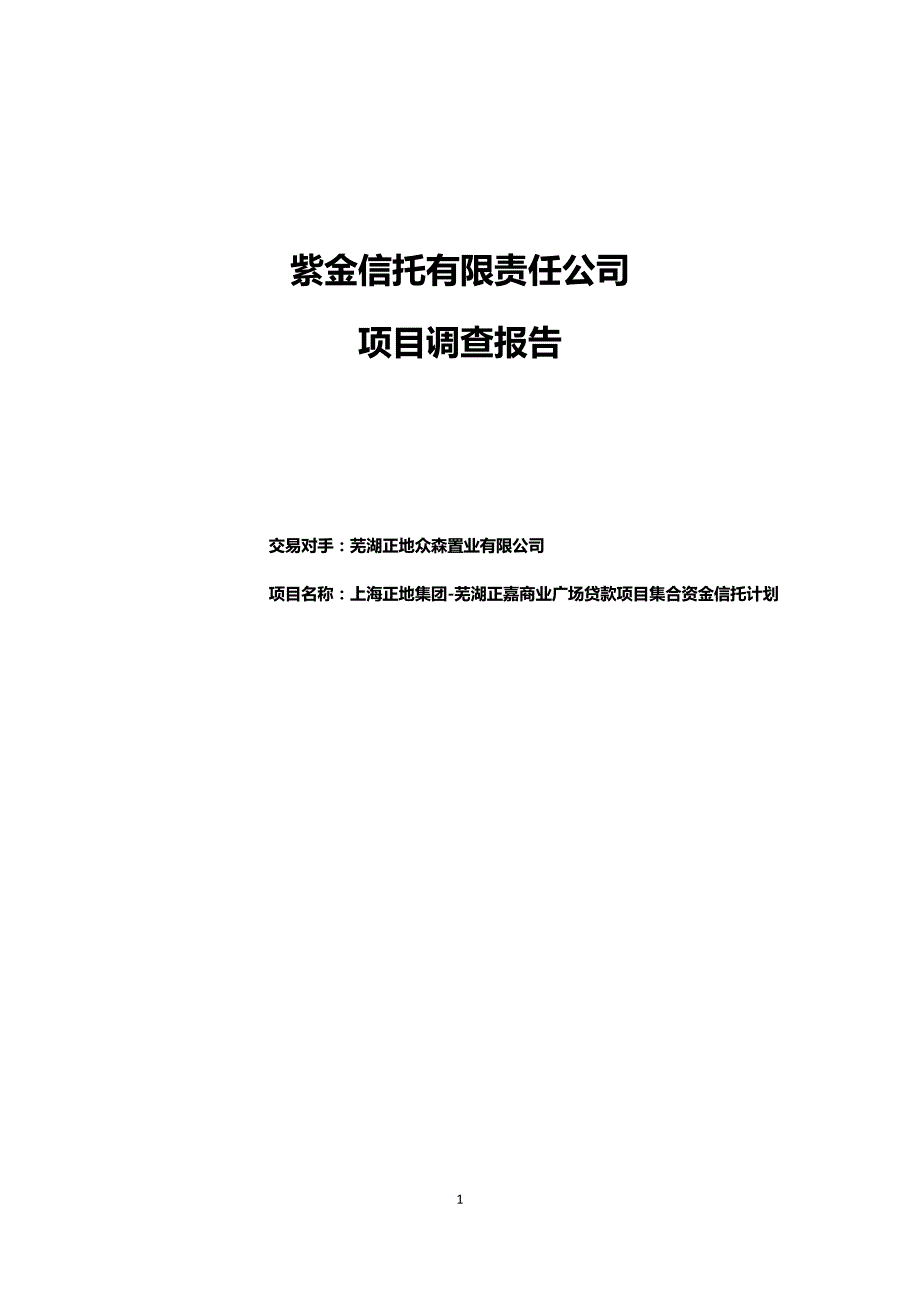 芜湖正地东城豪庭项目尽职调查报告-发行版_第1页