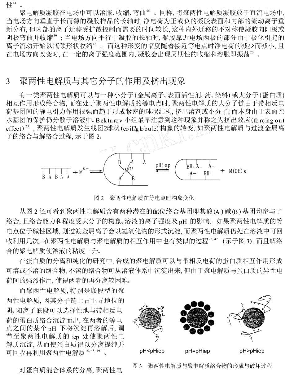 聚两性电解质及其水凝胶的研究进展_第5页