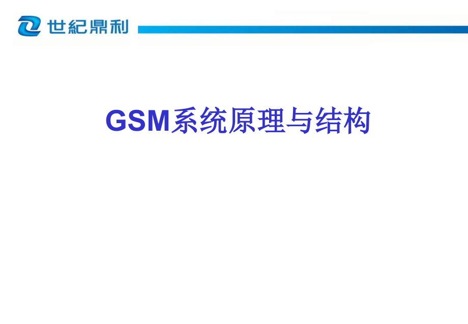 GSM系统原理与结构-鼎利_第1页