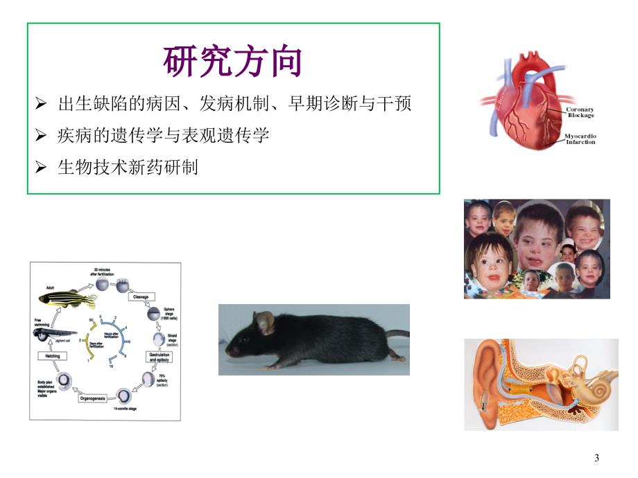 国家自然科学基金申报攻略_第3页