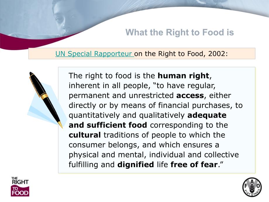 THE RIGHT TO ADEQUATE FOOD VOLUNTARY GUIDELINES适当粮食权的自愿指导方针_第3页