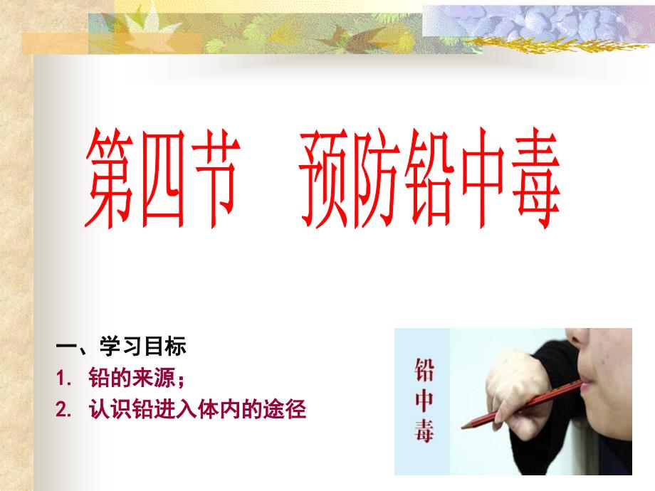 第四节 预防铅中毒_第1页