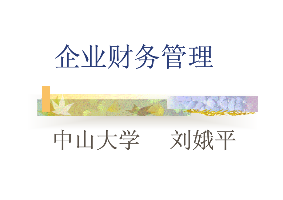 企业财务管理【2010年中山大学经典培训讲义】_第1页