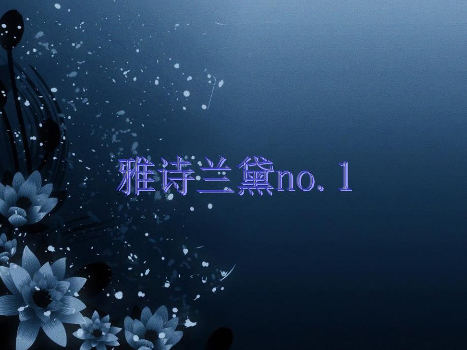 雅诗兰黛NO.1详细PPT介绍_第1页