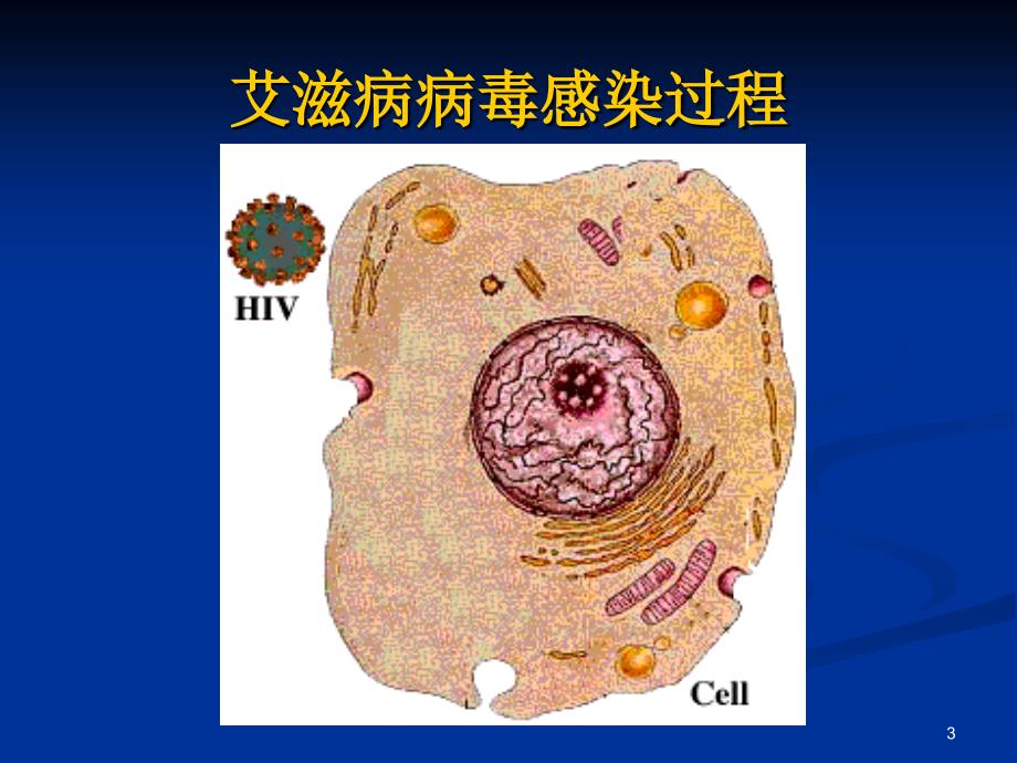 艾滋病防治与医务人员职业暴露防护- ppt课件_第3页