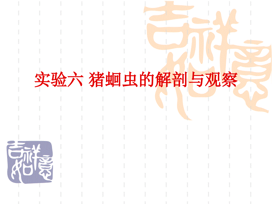 动物生物学-实验课件-实验六_猪蛔虫的解剖与观察_第1页