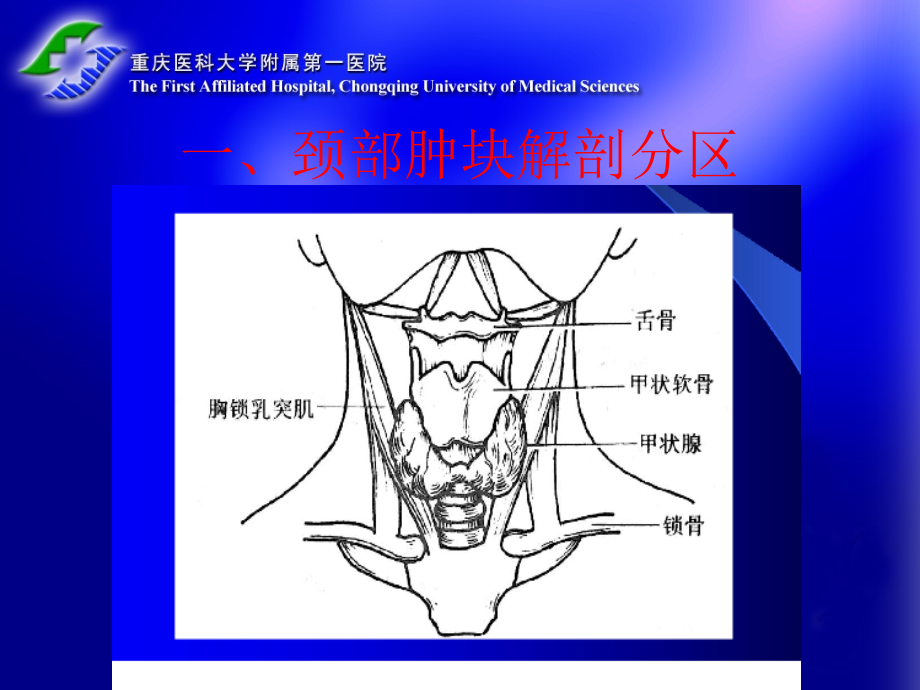 颈部肿块的诊断和鉴别诊断_第3页