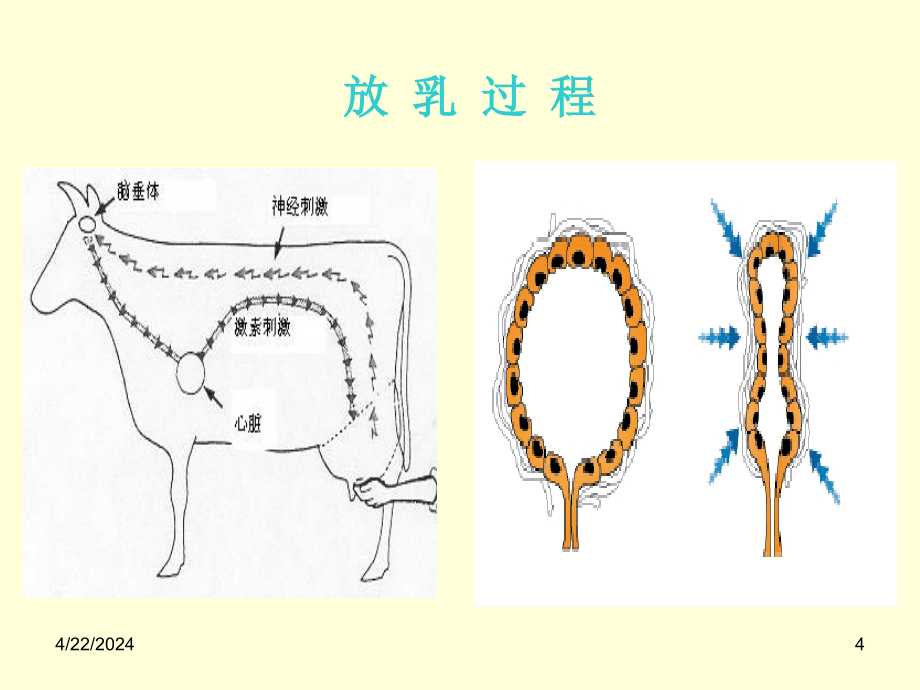 乳房炎的综合防治_第4页