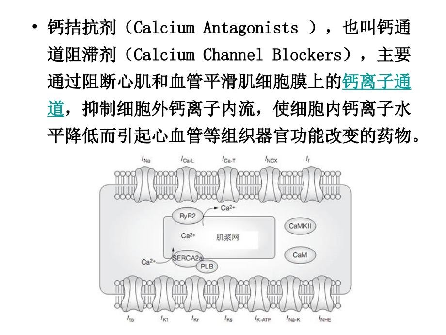 南医大药物分析第09章二氢吡啶类药物的分析-2015_第4页