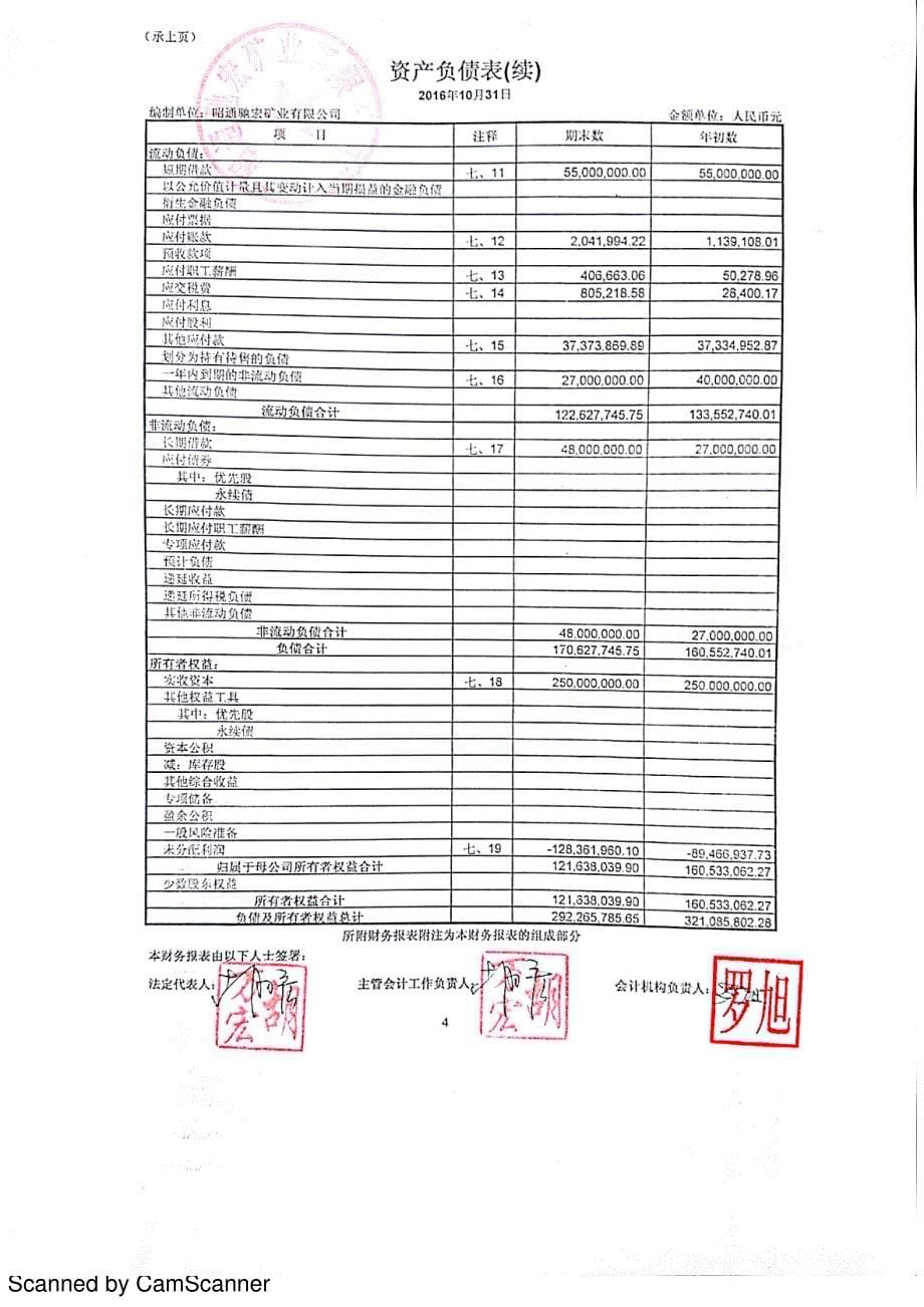 昭通驰宏矿业有限公司专项审计报告_第5页
