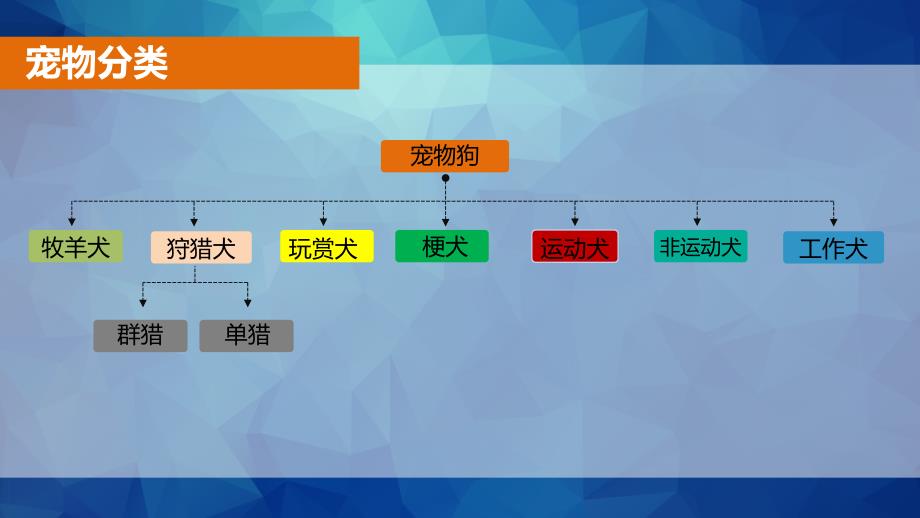 宠物皮毛基础知识-课件_第4页