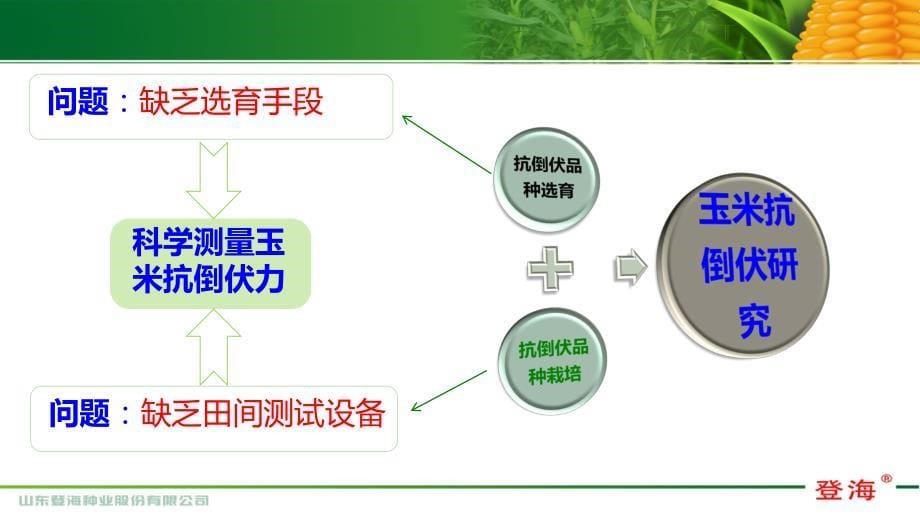 杨今胜-便携式玉米抗倒伏力测试仪的设计与应用_第5页