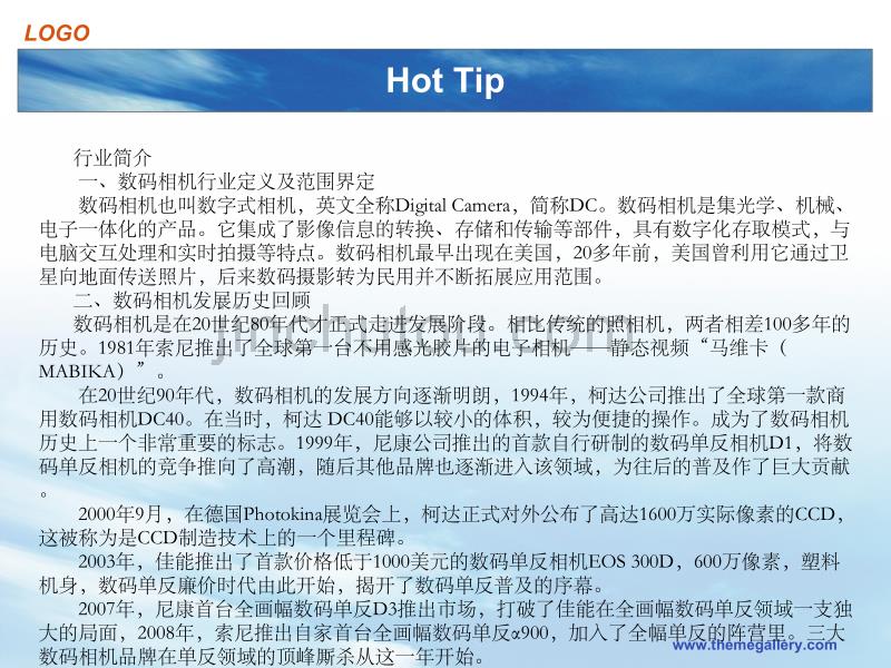 数码相机行业分析报告_第3页